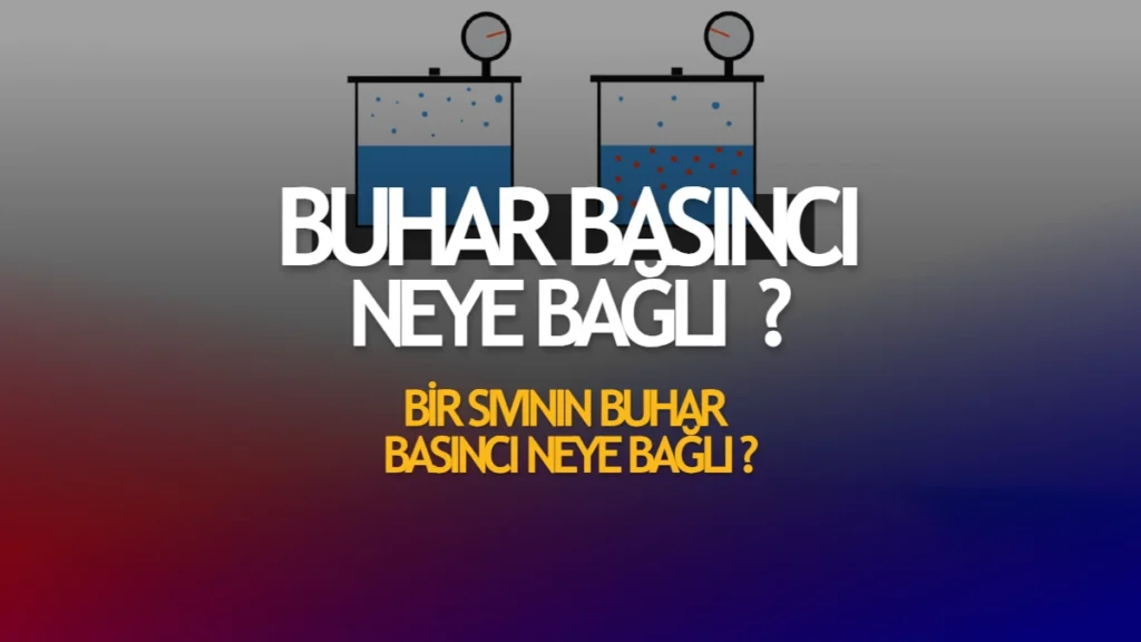 Buhar Basıncı Neye Bağlı